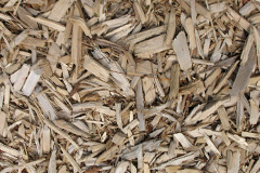 biomass boilers Crai